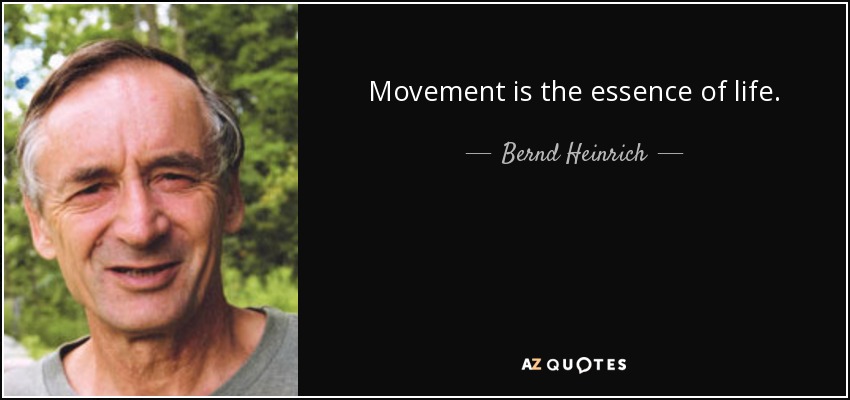 Movement is the essence of life. - Bernd Heinrich