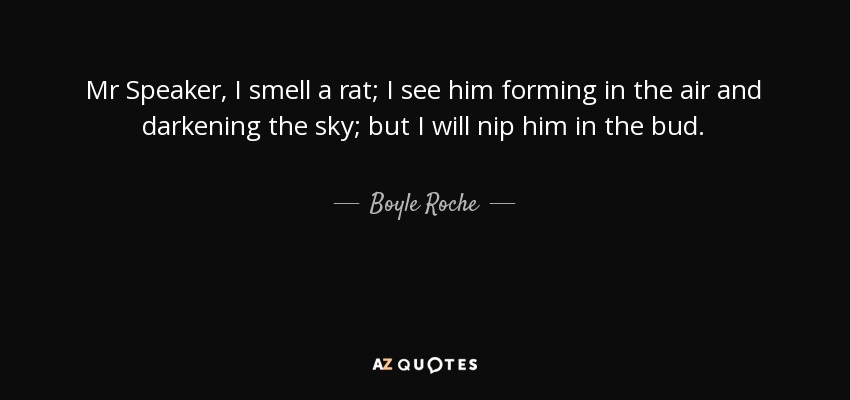 Mr Speaker, I smell a rat; I see him forming in the air and darkening the sky; but I will nip him in the bud. - Boyle Roche