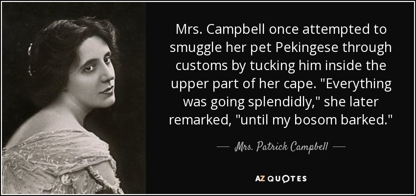 Mrs. Campbell once attempted to smuggle her pet Pekingese through customs by tucking him inside the upper part of her cape. 