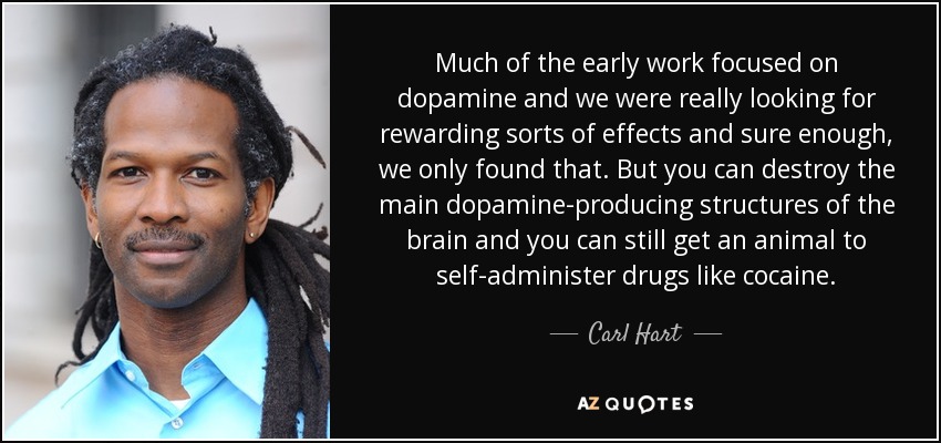 Much of the early work focused on dopamine and we were really looking for rewarding sorts of effects and sure enough, we only found that. But you can destroy the main dopamine-producing structures of the brain and you can still get an animal to self-administer drugs like cocaine. - Carl Hart