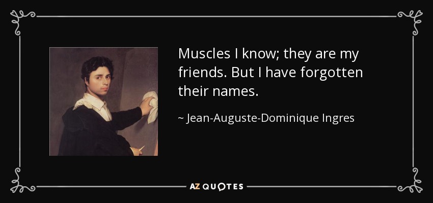 Muscles I know; they are my friends. But I have forgotten their names. - Jean-Auguste-Dominique Ingres