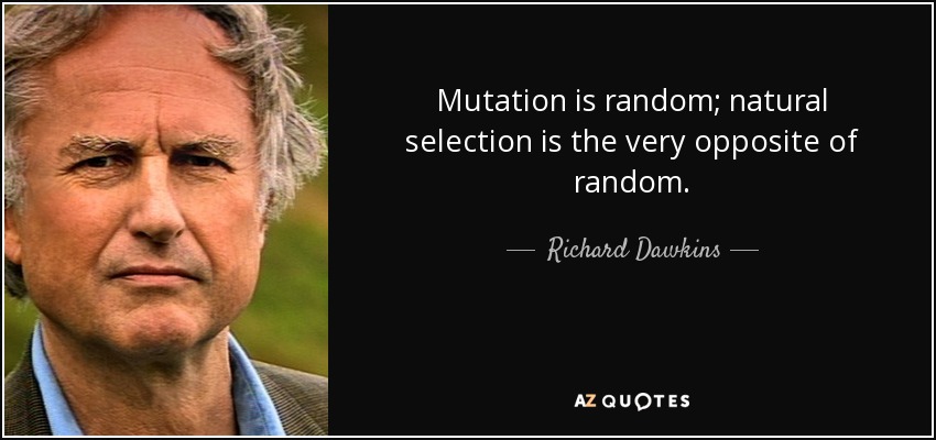 Mutation is random; natural selection is the very opposite of random. - Richard Dawkins