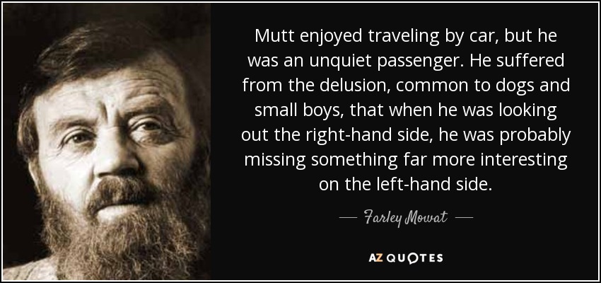 Mutt enjoyed traveling by car, but he was an unquiet passenger. He suffered from the delusion, common to dogs and small boys, that when he was looking out the right-hand side, he was probably missing something far more interesting on the left-hand side. - Farley Mowat