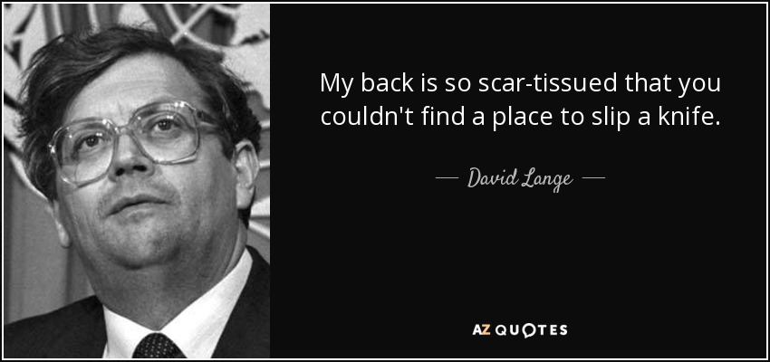 My back is so scar-tissued that you couldn't find a place to slip a knife. - David Lange
