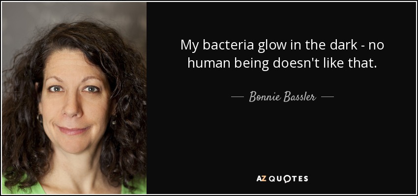 My bacteria glow in the dark - no human being doesn't like that. - Bonnie Bassler