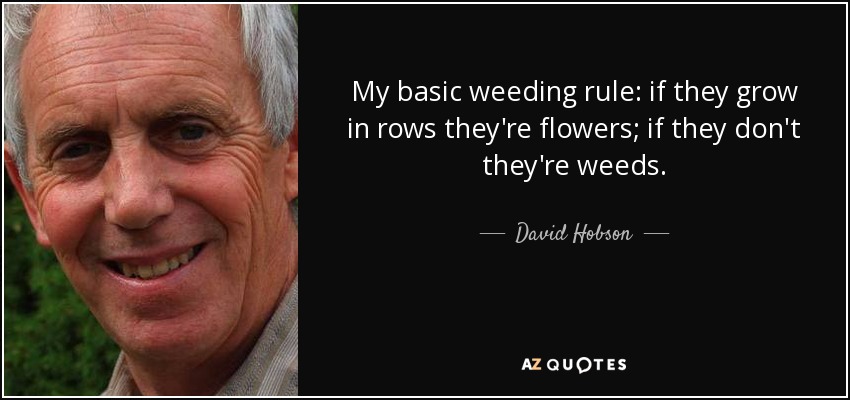 My basic weeding rule: if they grow in rows they're flowers; if they don't they're weeds. - David Hobson
