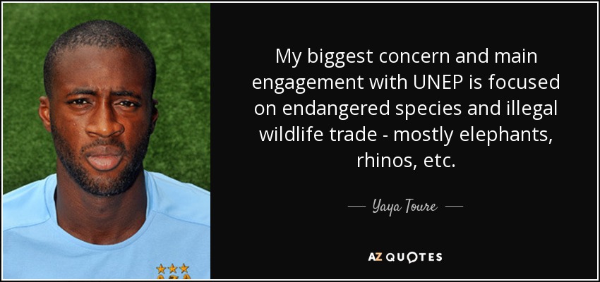 My biggest concern and main engagement with UNEP is focused on endangered species and illegal wildlife trade - mostly elephants, rhinos, etc. - Yaya Toure