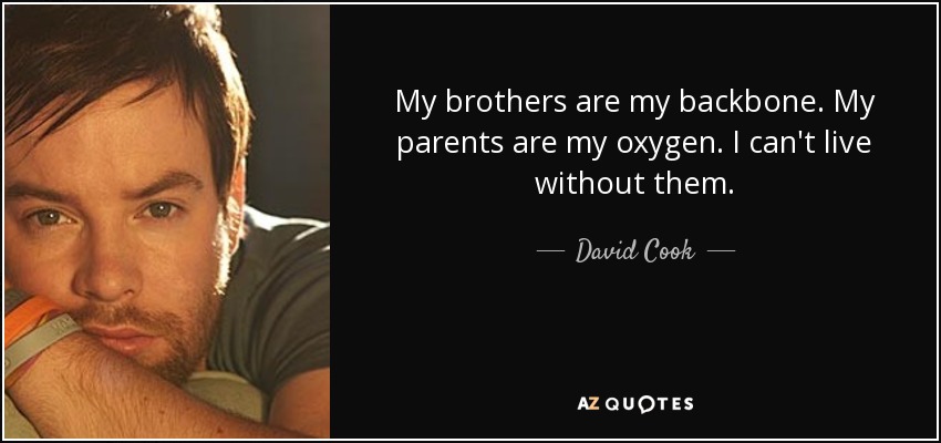 My brothers are my backbone. My parents are my oxygen. I can't live without them. - David Cook