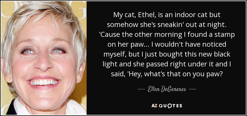 My cat, Ethel, is an indoor cat but somehow she's sneakin' out at night. 'Cause the other morning I found a stamp on her paw... I wouldn't have noticed myself, but I just bought this new black light and she passed right under it and I said, 'Hey, what's that on you paw? - Ellen DeGeneres