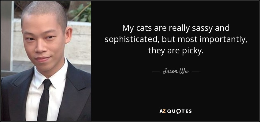 My cats are really sassy and sophisticated, but most importantly, they are picky. - Jason Wu
