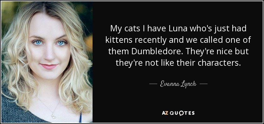 My cats I have Luna who's just had kittens recently and we called one of them Dumbledore. They're nice but they're not like their characters. - Evanna Lynch