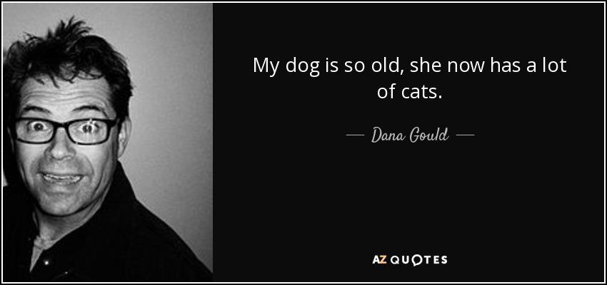 My dog is so old, she now has a lot of cats. - Dana Gould