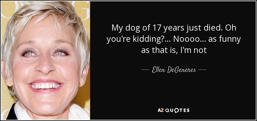 My dog of 17 years just died. Oh you're kidding?... Noooo... as funny as that is, I'm not - Ellen DeGeneres