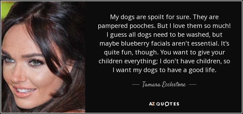 My dogs are spoilt for sure. They are pampered pooches. But I love them so much! I guess all dogs need to be washed, but maybe blueberry facials aren't essential. It's quite fun, though. You want to give your children everything; I don't have children, so I want my dogs to have a good life. - Tamara Ecclestone