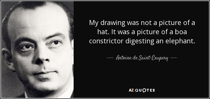 My drawing was not a picture of a hat. It was a picture of a boa constrictor digesting an elephant. - Antoine de Saint-Exupery