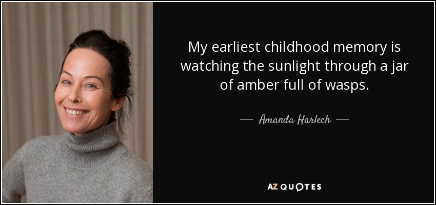 My earliest childhood memory is watching the sunlight through a jar of amber full of wasps. - Amanda Harlech