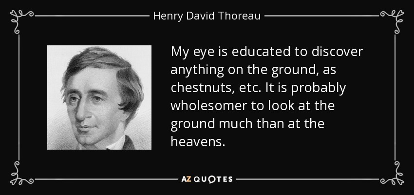 My eye is educated to discover anything on the ground, as chestnuts, etc. It is probably wholesomer to look at the ground much than at the heavens. - Henry David Thoreau