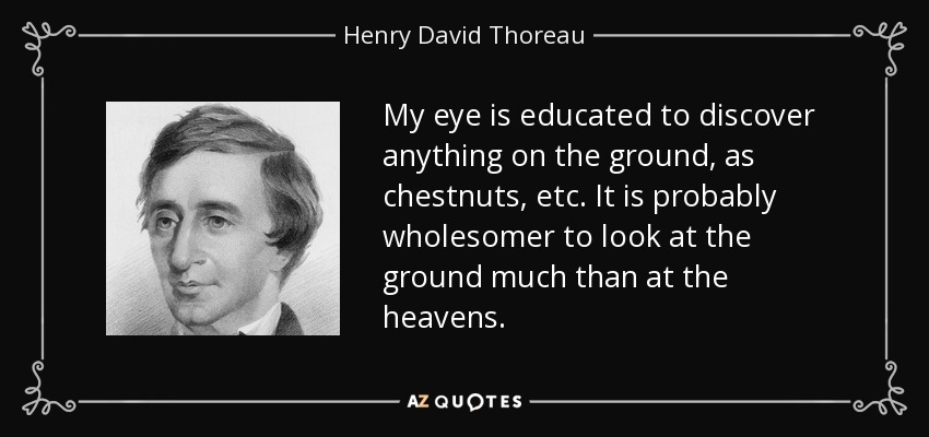 My eye is educated to discover anything on the ground, as chestnuts, etc. It is probably wholesomer to look at the ground much than at the heavens. - Henry David Thoreau