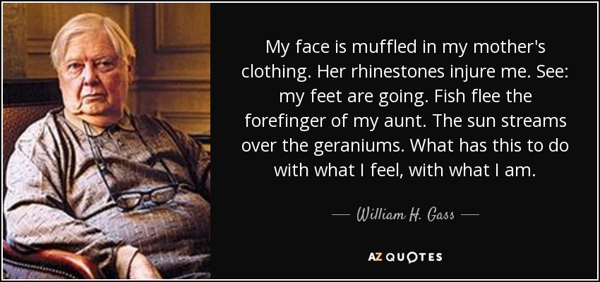 My face is muffled in my mother's clothing. Her rhinestones injure me. See: my feet are going. Fish flee the forefinger of my aunt. The sun streams over the geraniums. What has this to do with what I feel, with what I am. - William H. Gass