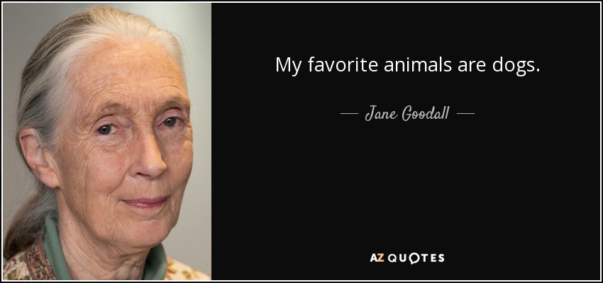 My favorite animals are dogs. - Jane Goodall