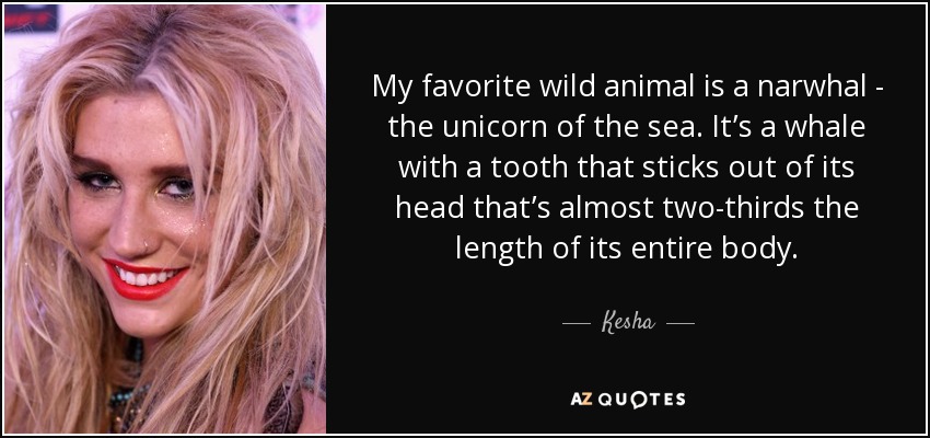 My favorite wild animal is a narwhal - the unicorn of the sea. It’s a whale with a tooth that sticks out of its head that’s almost two-thirds the length of its entire body. - Kesha