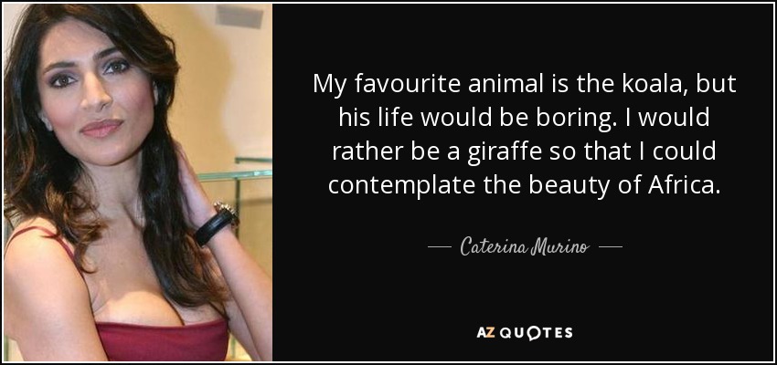 My favourite animal is the koala, but his life would be boring. I would rather be a giraffe so that I could contemplate the beauty of Africa. - Caterina Murino
