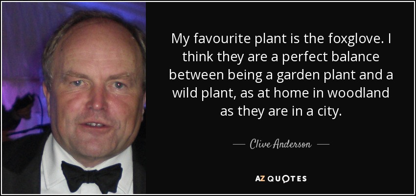 My favourite plant is the foxglove. I think they are a perfect balance between being a garden plant and a wild plant, as at home in woodland as they are in a city. - Clive Anderson