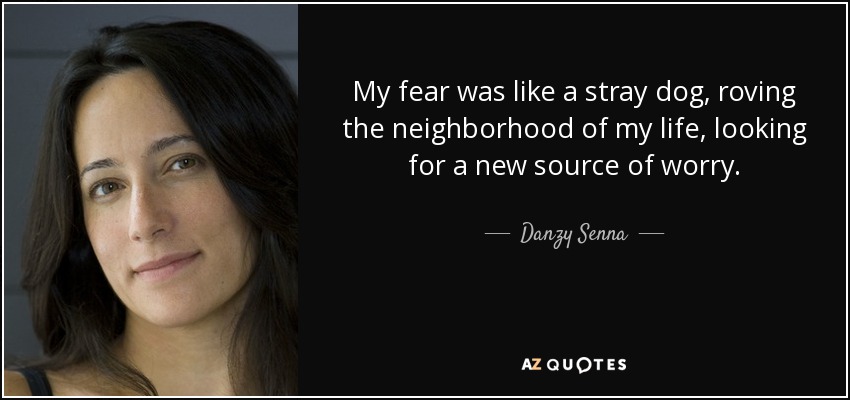 My fear was like a stray dog, roving the neighborhood of my life, looking for a new source of worry. - Danzy Senna