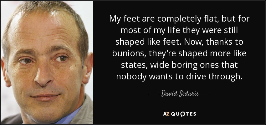 My feet are completely flat, but for most of my life they were still shaped like feet. Now, thanks to bunions, they're shaped more like states, wide boring ones that nobody wants to drive through. - David Sedaris