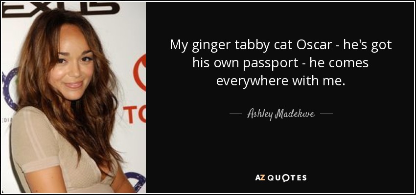 My ginger tabby cat Oscar - he's got his own passport - he comes everywhere with me. - Ashley Madekwe
