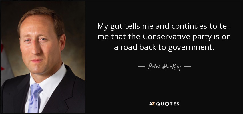 My gut tells me and continues to tell me that the Conservative party is on a road back to government. - Peter MacKay