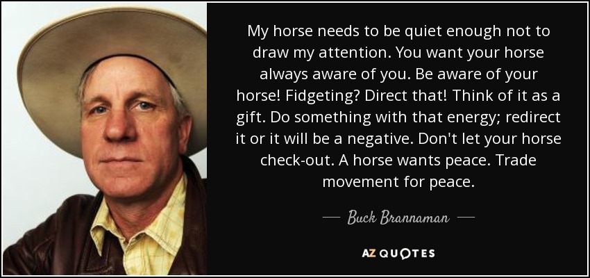 My horse needs to be quiet enough not to draw my attention. You want your horse always aware of you. Be aware of your horse! Fidgeting? Direct that! Think of it as a gift. Do something with that energy; redirect it or it will be a negative. Don't let your horse check-out. A horse wants peace. Trade movement for peace. - Buck Brannaman