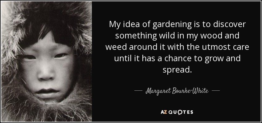 My idea of gardening is to discover something wild in my wood and weed around it with the utmost care until it has a chance to grow and spread. - Margaret Bourke-White