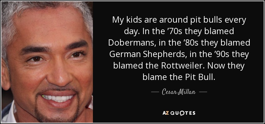 My kids are around pit bulls every day. In the ’70s they blamed Dobermans, in the ’80s they blamed German Shepherds, in the ’90s they blamed the Rottweiler. Now they blame the Pit Bull. - Cesar Millan