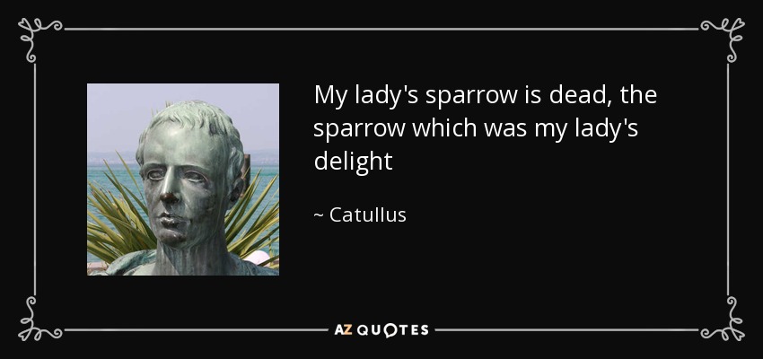 My lady's sparrow is dead, the sparrow which was my lady's delight - Catullus