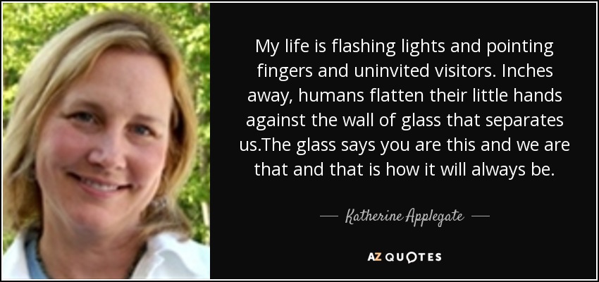 My life is flashing lights and pointing fingers and uninvited visitors. Inches away, humans flatten their little hands against the wall of glass that separates us.The glass says you are this and we are that and that is how it will always be. - Katherine Applegate