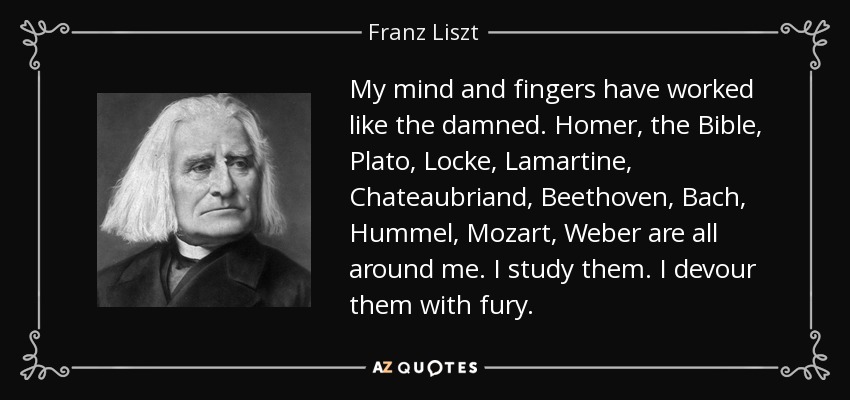 My mind and fingers have worked like the damned. Homer, the Bible, Plato, Locke, Lamartine, Chateaubriand, Beethoven, Bach, Hummel, Mozart, Weber are all around me. I study them. I devour them with fury. - Franz Liszt