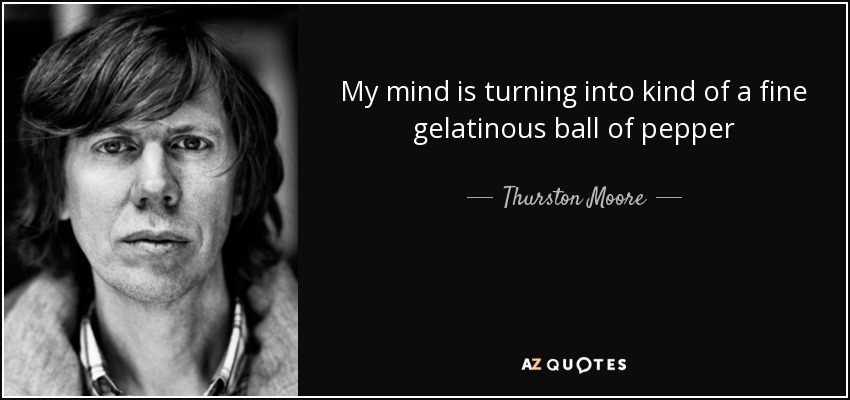 My mind is turning into kind of a fine gelatinous ball of pepper - Thurston Moore