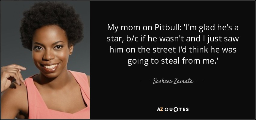 My mom on Pitbull: 'I'm glad he's a star, b/c if he wasn't and I just saw him on the street I'd think he was going to steal from me.' - Sasheer Zamata