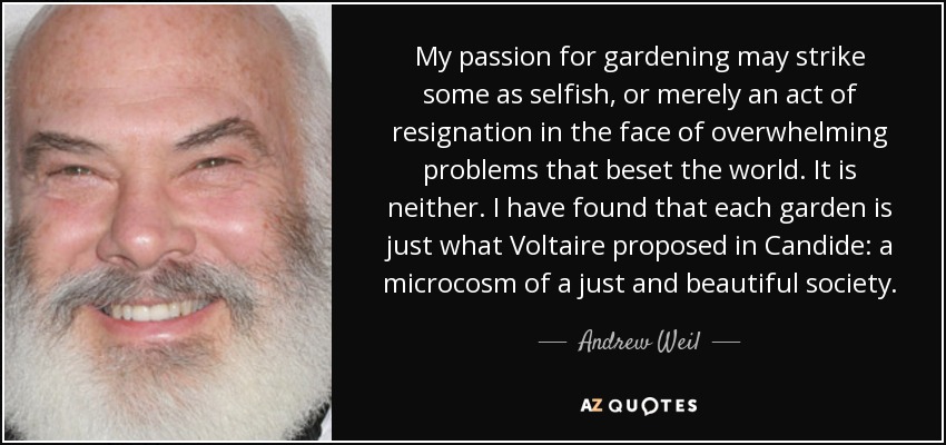 My passion for gardening may strike some as selfish, or merely an act of resignation in the face of overwhelming problems that beset the world. It is neither. I have found that each garden is just what Voltaire proposed in Candide: a microcosm of a just and beautiful society. - Andrew Weil