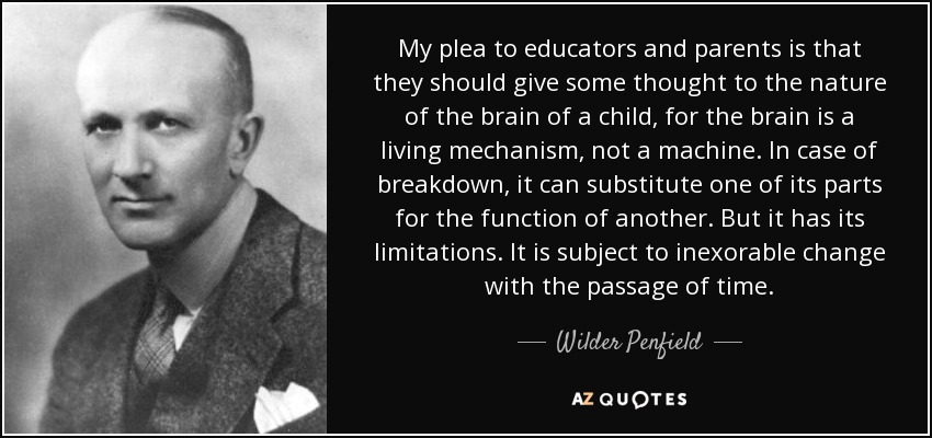 My plea to educators and parents is that they should give some thought to the nature of the brain of a child, for the brain is a living mechanism, not a machine. In case of breakdown, it can substitute one of its parts for the function of another. But it has its limitations. It is subject to inexorable change with the passage of time. - Wilder Penfield