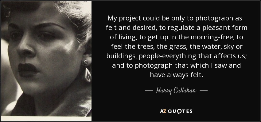 My project could be only to photograph as I felt and desired, to regulate a pleasant form of living, to get up in the morning-free, to feel the trees, the grass, the water, sky or buildings, people-everything that affects us; and to photograph that which I saw and have always felt. - Harry Callahan