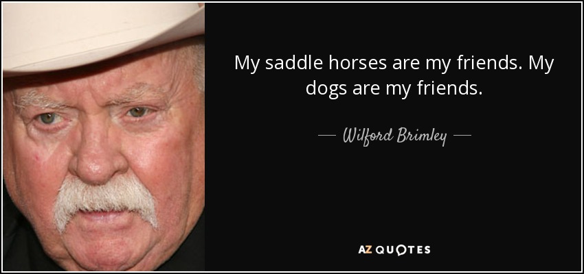 My saddle horses are my friends. My dogs are my friends. - Wilford Brimley