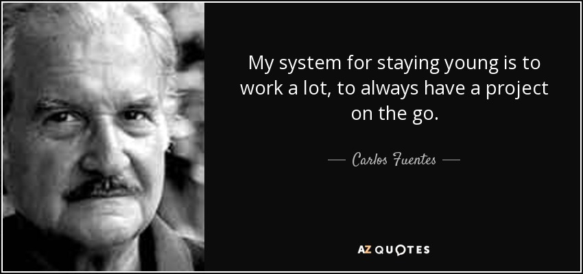 My system for staying young is to work a lot, to always have a project on the go. - Carlos Fuentes