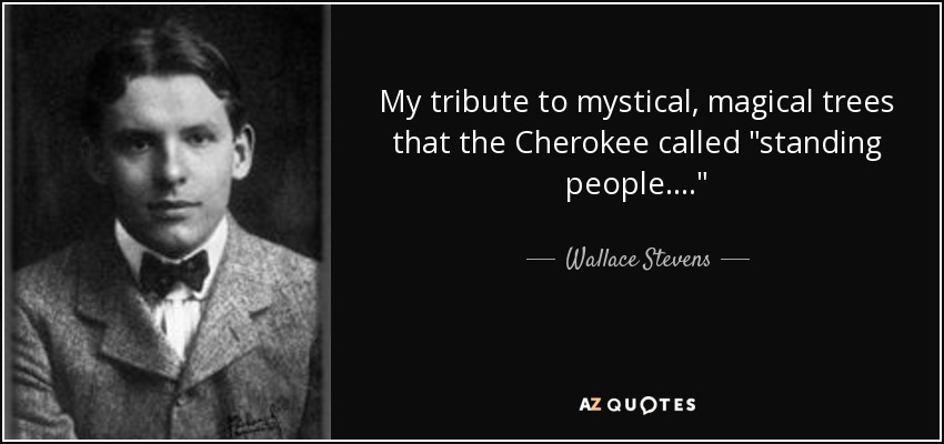 My tribute to mystical, magical trees that the Cherokee called 