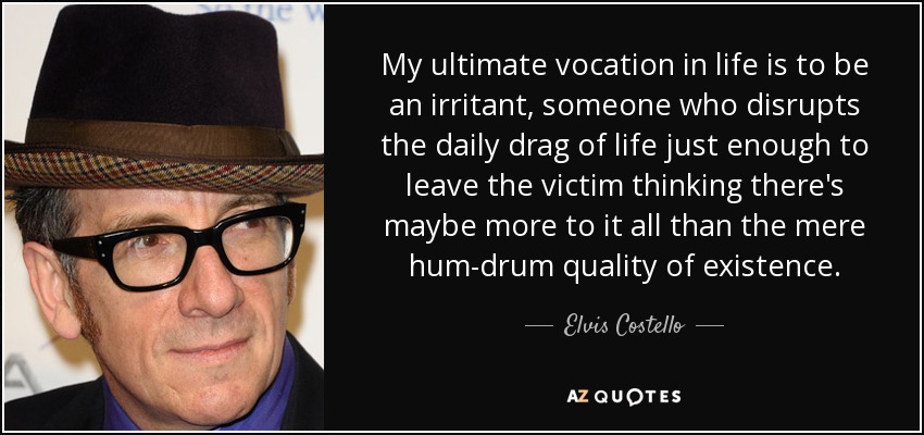 My ultimate vocation in life is to be an irritant, someone who disrupts the daily drag of life just enough to leave the victim thinking there's maybe more to it all than the mere hum-drum quality of existence. - Elvis Costello