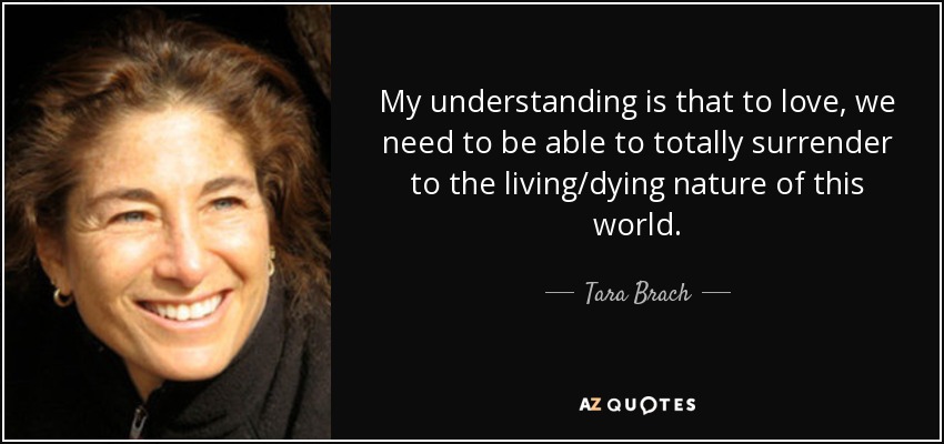 My understanding is that to love, we need to be able to totally surrender to the living/dying nature of this world. - Tara Brach