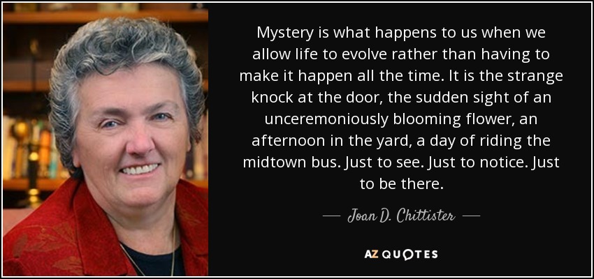 Mystery is what happens to us when we allow life to evolve rather than having to make it happen all the time. It is the strange knock at the door, the sudden sight of an unceremoniously blooming flower, an afternoon in the yard, a day of riding the midtown bus. Just to see. Just to notice. Just to be there. - Joan D. Chittister
