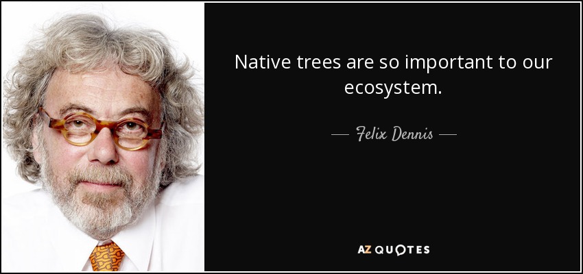 Native trees are so important to our ecosystem. - Felix Dennis