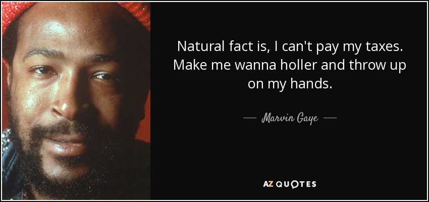 Natural fact is, I can't pay my taxes. Make me wanna holler and throw up on my hands. - Marvin Gaye